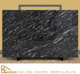 ĐÁ GRANITE TROPICAL BLACK