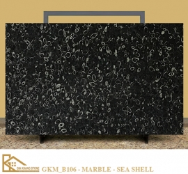 ĐÁ MARBLE SEA SHELL